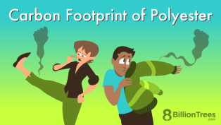 Two people looking at their clothes and seeing carbon footprints wonder about how to measure the carbon footprint of polyester, asking is polyester eco friendly and how do you calculate the carbon footprint of textiles, carbon footprint of cotton, leather, more.