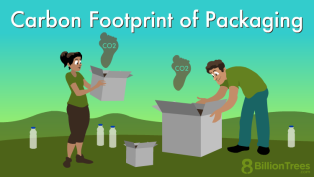 Couple looking at carbon footprint of packaging from cardboard boxes and wonders how plastic and cardboard packaging materials effect the environment, packaging footprint measurements, and eco friendly options for packaging.